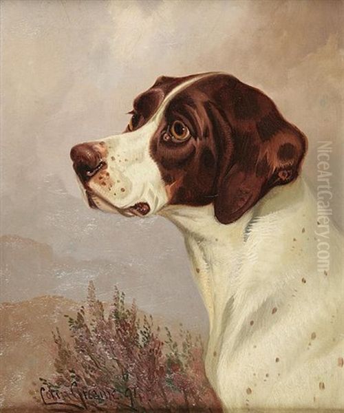 Pointer Head Study Oil Painting by Colin Graeme