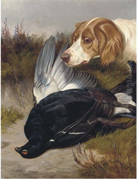 A Gundog With A Black Game by Colin Graeme