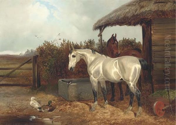 Horses At A Trough Oil Painting by Colin Graeme