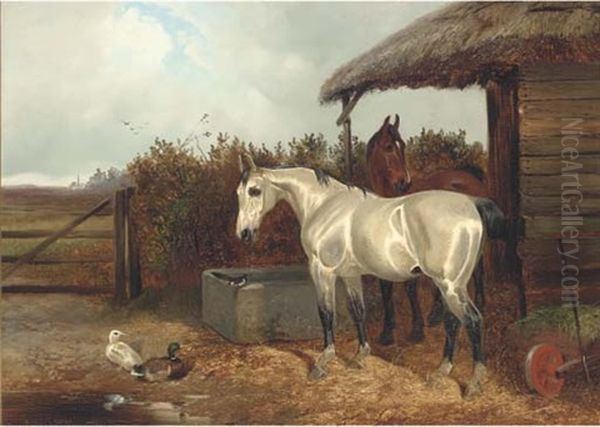 Horses At A Trough Oil Painting by Colin Graeme