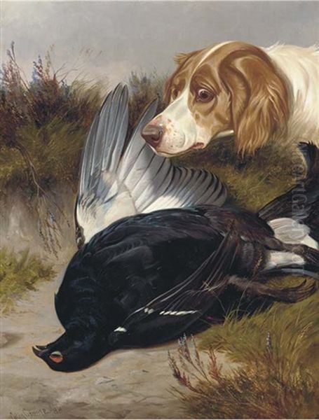 A Gundog With A Black Game Oil Painting by Colin Graeme