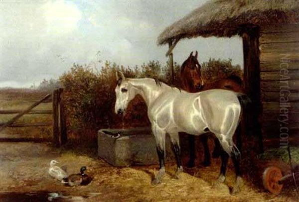 A Bay And Grey Horse In A Stable Yard With Ducks Oil Painting by Colin Graeme