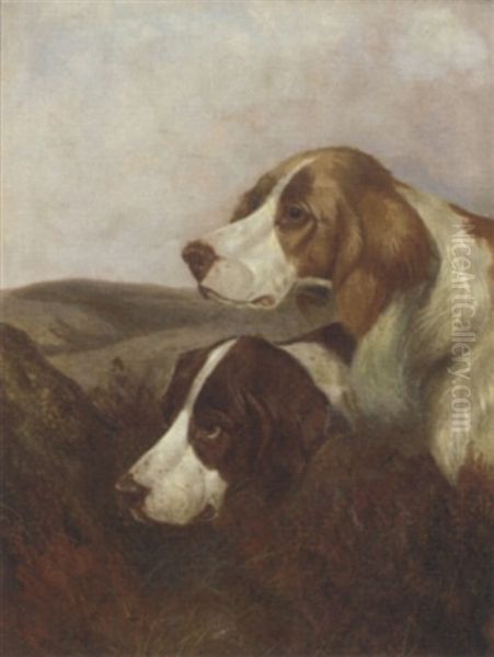 A Brace Of Pointers Oil Painting by Colin Graeme