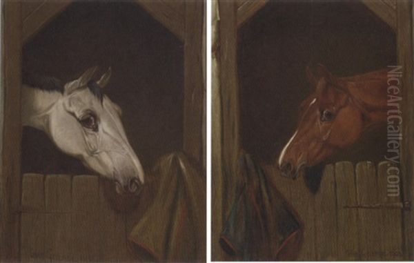 A Grey At A Stable Door Oil Painting by Colin Graeme