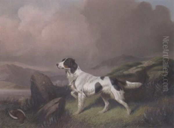 A Setter In A Moorland Landscape Oil Painting by Colin Graeme