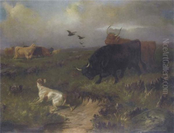 Highland Cattle, With A Setter And Grouse On The Moor Oil Painting by Colin Graeme