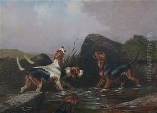 Four Hounds In A Stream Oil Painting by Colin Graeme