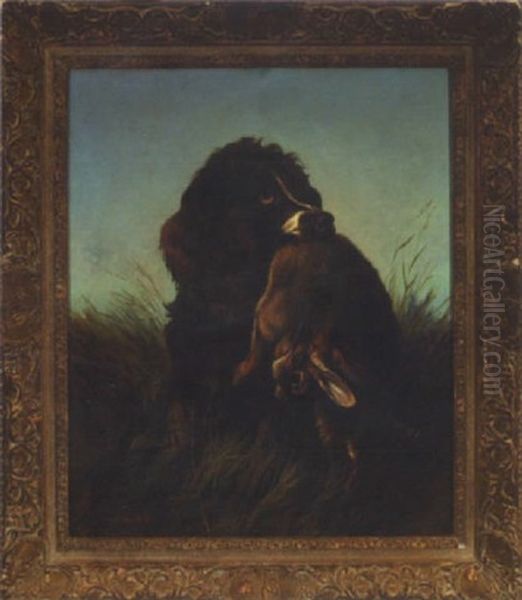 Hunting Spaniel And Hare Oil Painting by Colin Graeme