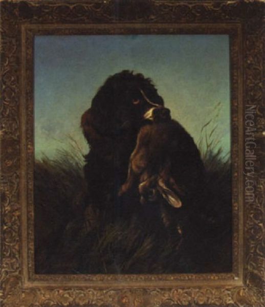 Hunting Spaniel And Hare Oil Painting by Colin Graeme