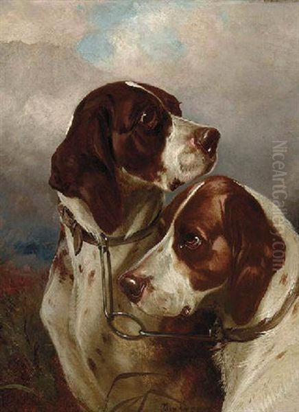 A Brace Of Gundogs Oil Painting by Colin Graeme