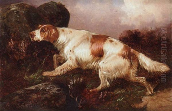 A Setter Working Oil Painting by Colin Graeme