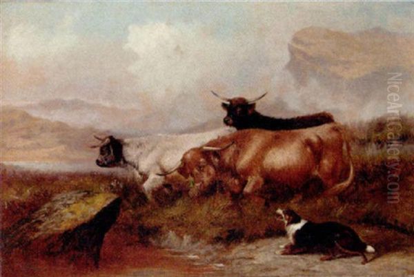 Herding Highland Cattle Oil Painting by Colin Graeme