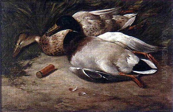 A Pair Of Dead Mallard Ducks Oil Painting by Colin Graeme