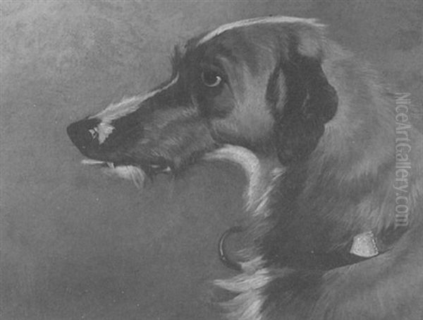 A Deerhound Oil Painting by Colin Graeme