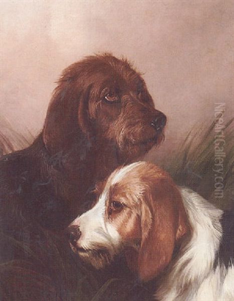 A Pair Of Hounds Oil Painting by Colin Graeme