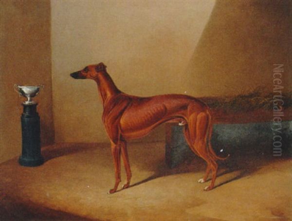 A Champion Greyhound Standing Before His Trophy Oil Painting by Colin Graeme