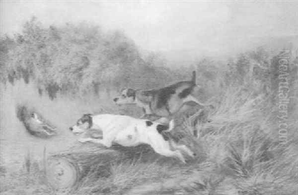 Two Terriers Chasing A Rabbit Oil Painting by Colin Graeme