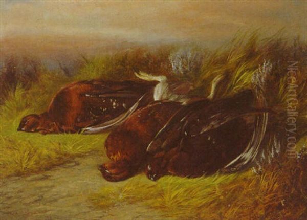 Grouse In A Highland Landscape Oil Painting by Colin Graeme