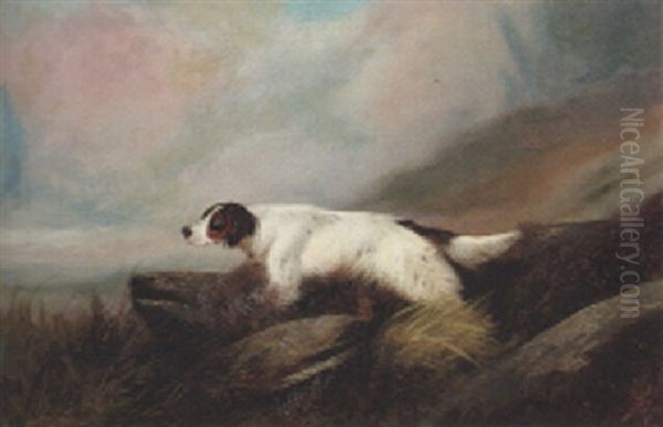 A Setter In A Landscape Oil Painting by Colin Graeme