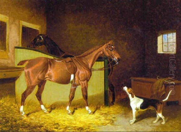 Two Bay Hunters With A Foxhound In A Stable Oil Painting by Colin Graeme