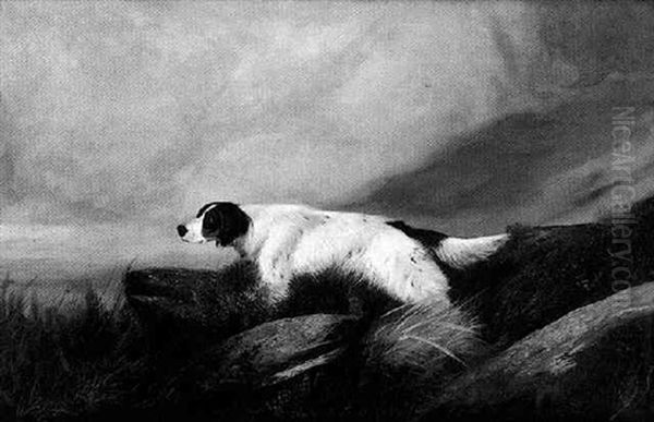 A Setter In A Rocky Landscape Oil Painting by Colin Graeme