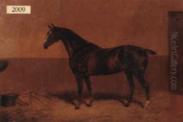 Horse In Its Stall Oil Painting by Colin Graeme