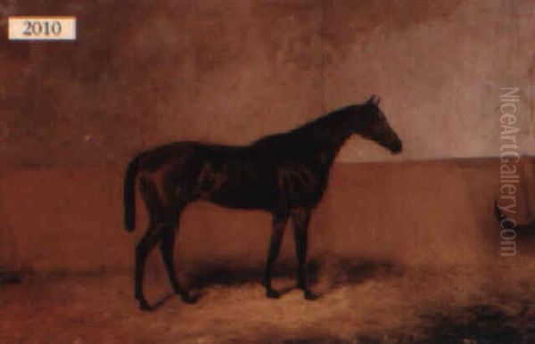 Horse Facing Right In Its Stall Oil Painting by Colin Graeme