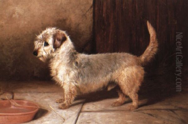 'callun': A Dandie Dinmont Terrier Oil Painting by Colin Graeme