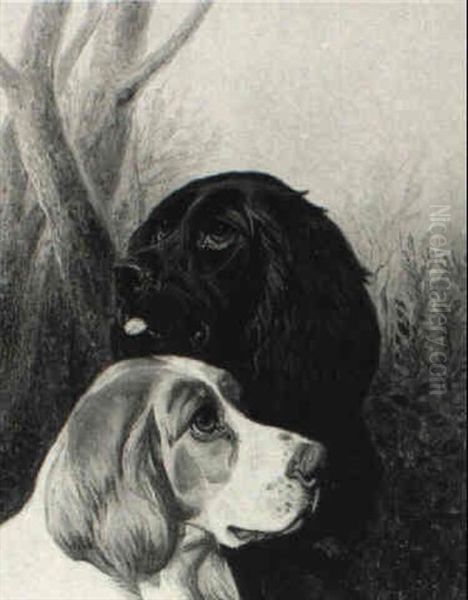 Spaniels Oil Painting by Colin Graeme