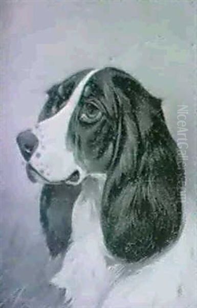 Study Of A Setter's Head Oil Painting by Colin Graeme