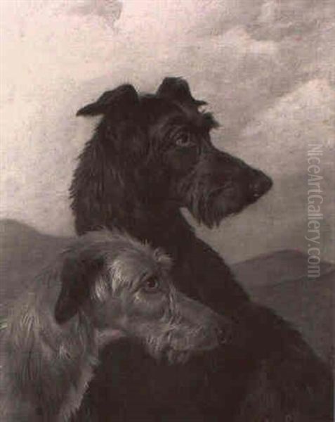 Head Studies Of Two Deerhounds Oil Painting by Colin Graeme