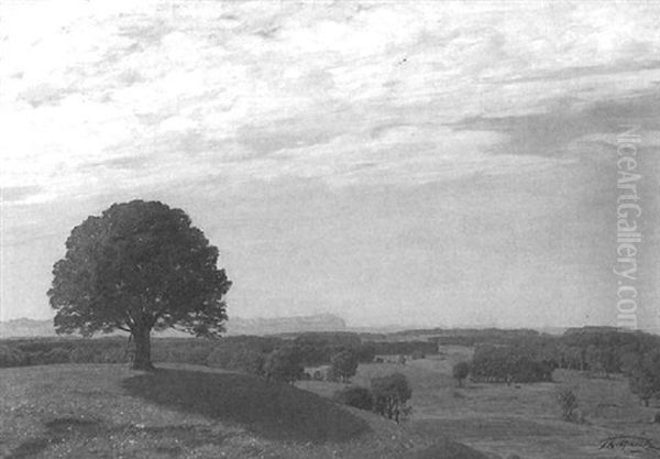 Sommerliche Voralpenlandschaft Oil Painting by Theodor Graetz