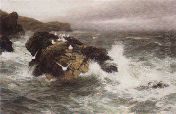 The Sea Bird's Resting Place Oil Painting by Peter Graham