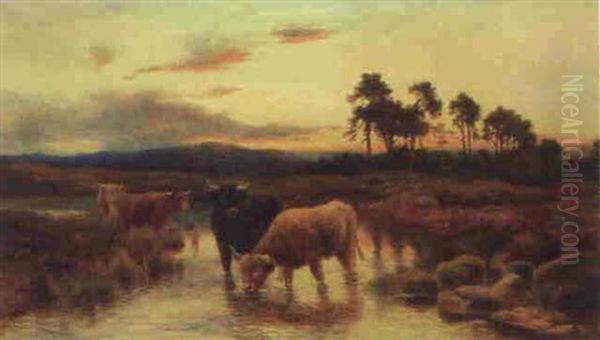 Highland Cattle At Sunset Oil Painting by Peter Graham