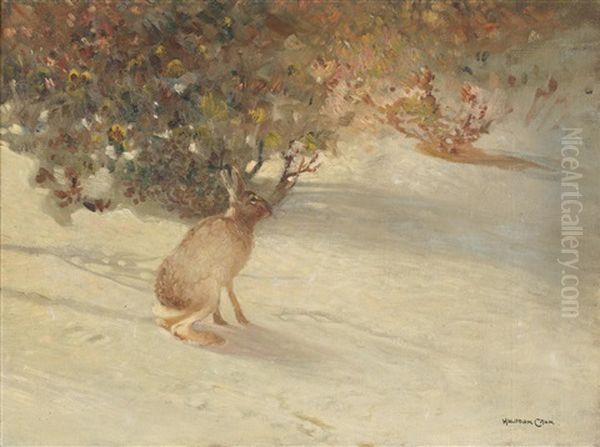 Hare Oil Painting by Halfdan Gran