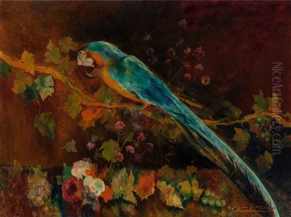 Still Life With Macaw Oil Painting by Luis Graner y Arrufi