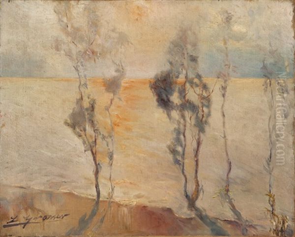 Eucalypti Along A Coast Oil Painting by Luis Graner y Arrufi