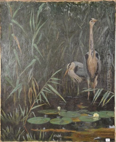 Herons Oil Painting by August Johannes le Gras