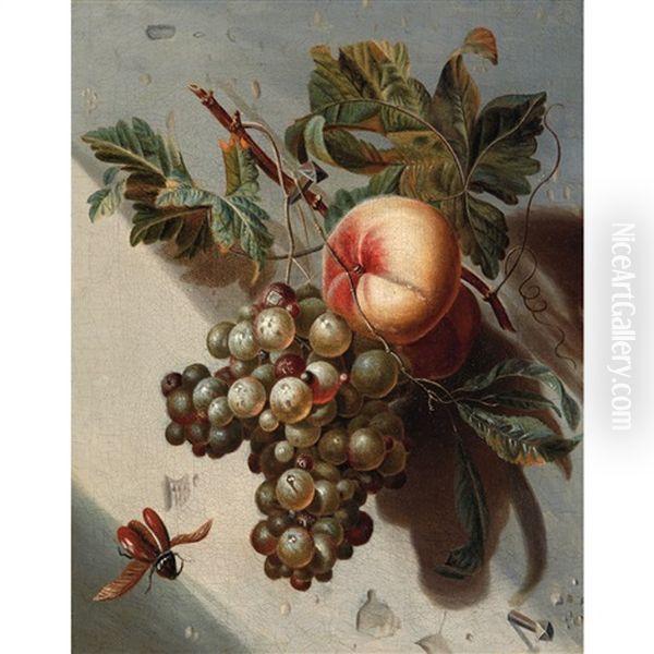 Still Life With Grapes And Peachers Oil Painting by Willem Grasdorp