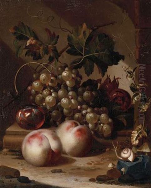 A Plum, Grapes On The Vine And Medlars On A Ledge With Peaches, A Snail In The Foreground Oil Painting by Willem Grasdorp