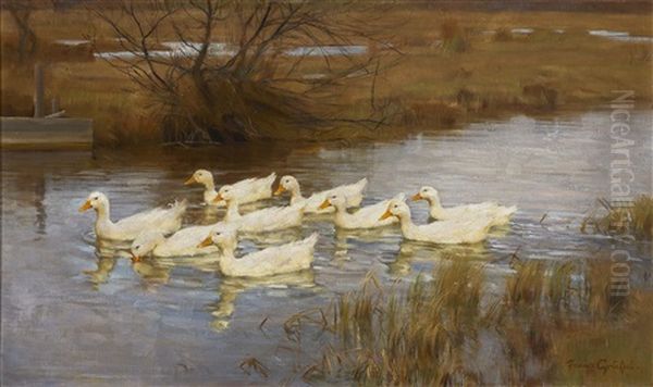 Neun Enten Auf Dem Wasser Oil Painting by Franz Graessel