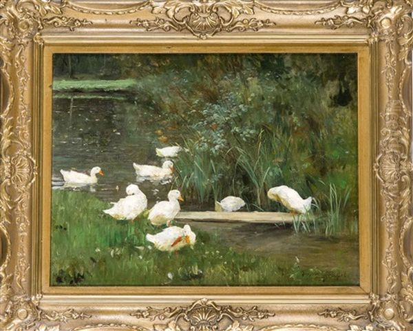 Enten Am Ufer Oil Painting by Franz Graessel