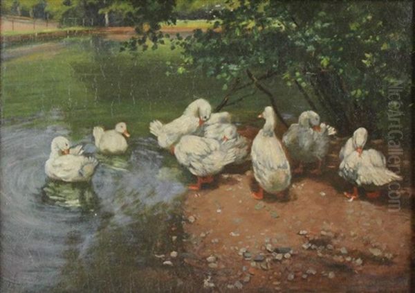 Ducks By A Pond Oil Painting by Franz Graessel