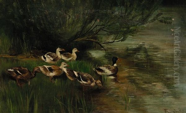 Sieben Enten Am Wasser Oil Painting by Franz Graessel