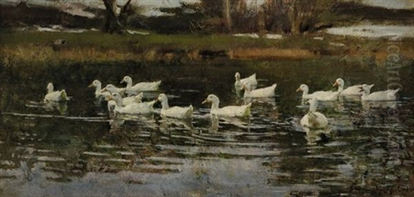 Zur Zeit Der Schneeschmelze (enten Auf Dem Wasser) Oil Painting by Franz Graessel