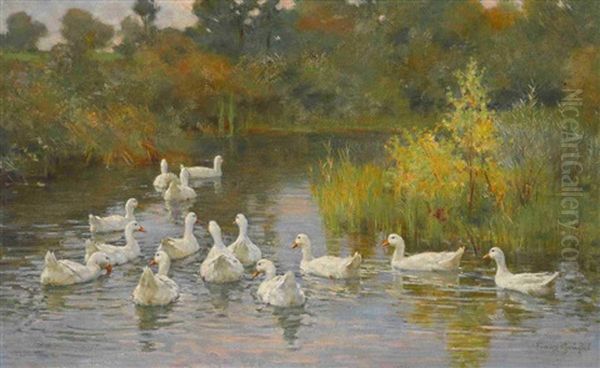 Enten Im Wasser Oil Painting by Franz Graessel