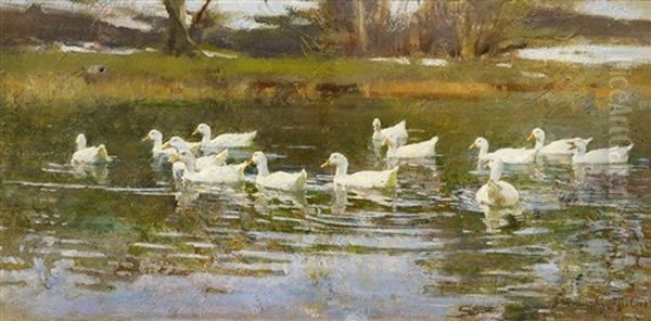 Enten Auf Dem Teich Oil Painting by Franz Graessel