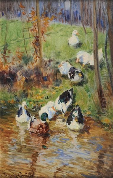 Ducks Oil Painting by Franz Graessel