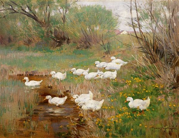 Enten Am Teichufer Im Fruhling, Bluhende Wiesen Und Weiden Oil Painting by Franz Graessel