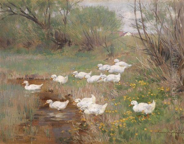 Enten Am Fruhlingsbach Oil Painting by Franz Graessel